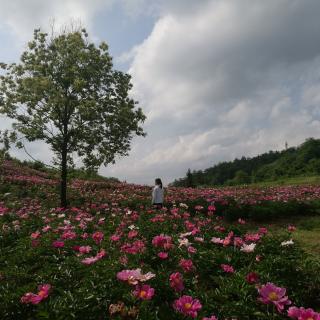 《燃烧的大地》邢三元