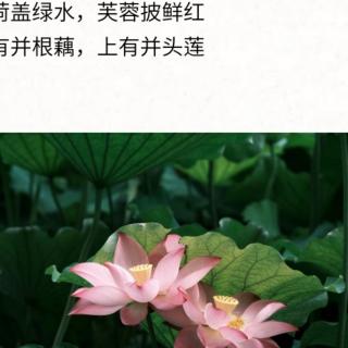 《易经讲课录·上》第285～298页（33:30分钟）