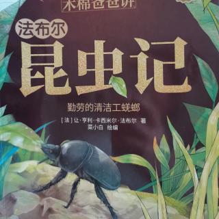 1022.昆虫记～勤劳的清洁工蜣螂