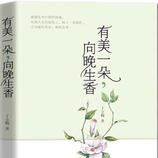 《花盆里的风信子》