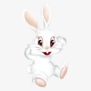 小白兔学跑步