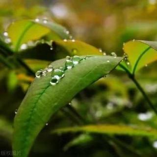 韩东｜雨：什么事都没有的时候 ，下雨是一件大事