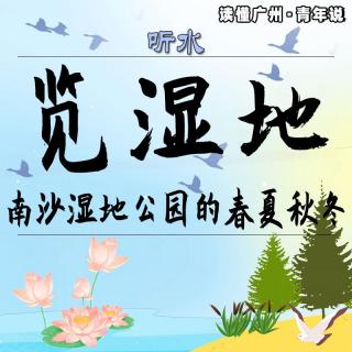 听水 | 览湿地：南沙湿地公园的春夏秋冬（粤语）