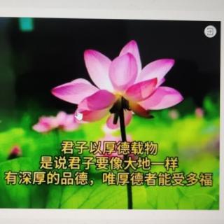 《福泽.母德》🌸🎁🌹