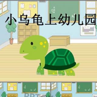 《小乌龟🐢上幼儿园》