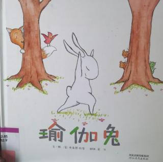 绘本故事分享443：《瑜伽兔》