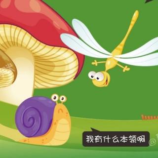 晚安故事《快乐的小蜗牛》