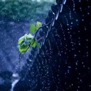 诵读经典诗词《听听那冷雨》作者余光中