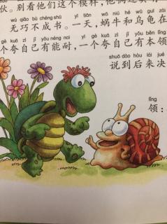知识童话 【蜗牛和乌龟比本领】