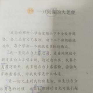 一只窝囊的大老虎