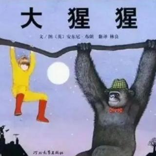 故事分享《大猩猩🦍》