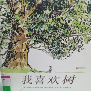 绘本故事分享446：《我喜欢树》