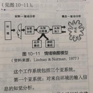 第十章 情绪 第四节 情绪理论