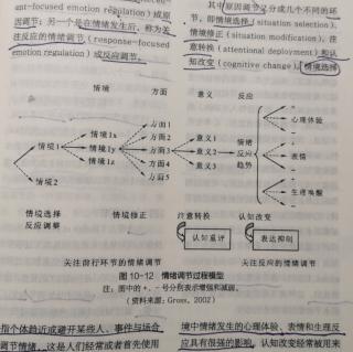 第十章 第五节 情绪的调节