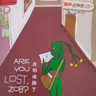ARE   YOU  LOST  ZOB?