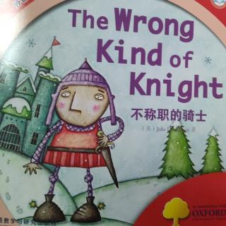 The Wrong Kind Knight
