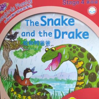 The Snake and the Drake