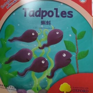 Tadpoles