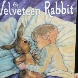 the Velveteen Rabbit 4 棉绒兔4