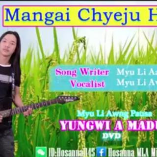 🌾Mangai Chyeju Hkungga🌾Vocal~Myuli Awng Pausa