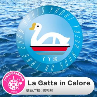 La Gatta in Calore·鸭鸭摇V102