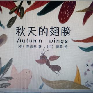 幼专附属幼儿园杜老师——《秋天的翅膀》