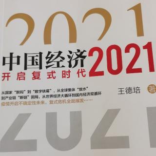 《中国经济2021》125页-142页
