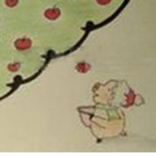 宋老师第522篇睡前故事🌻《八十八个红苹果》