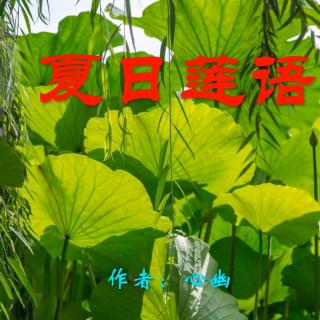 《夏日莲语》作者：心幽 诵读：大连伙计