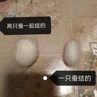 贾梓墨自由阅读