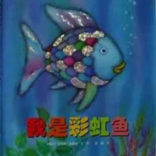 《我是彩虹鱼🐟》