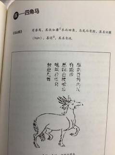 䮝（hun）--四角马