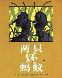 《两只坏蚂蚁🐜》