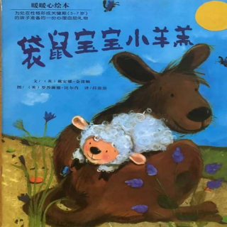 儿童绘本-袋鼠宝宝小羊羔