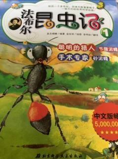 法布尔昆虫记-2手术专家—砂泥蜂