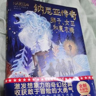 纳尼亚传奇狮子女巫和魔衣橱8晚餐之后20220815