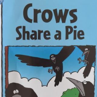 Crows share a pie