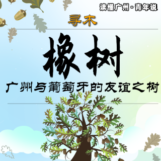 寻木 | 橡树：广州与葡萄牙的友谊之树（粤语）