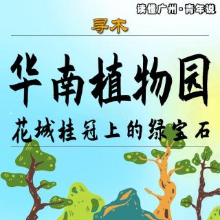 寻木 | 华南植物园：花城桂冠上的绿宝石（粤语）
