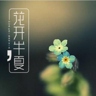 《花开半夏》第十一章