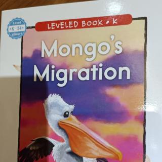 Raz mongos migration
