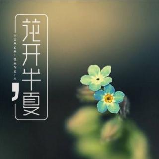 《花开半夏》第十二章