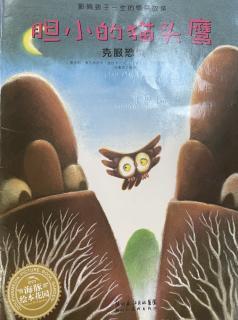 绘本故事《胆小的猫头鹰🦉》