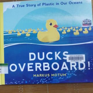 Ducks overboard