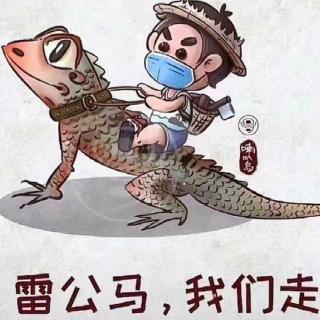 贪吃的小鱼