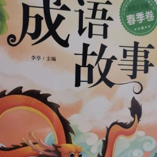 225《书香洛阳，魅力西苑实小》