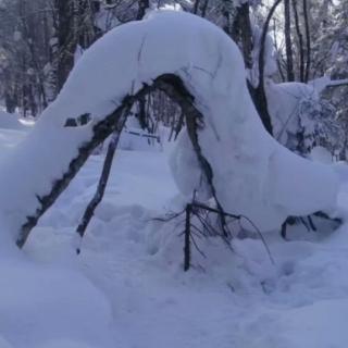 刘梦安《雪夜寻诗》琴姐诵读