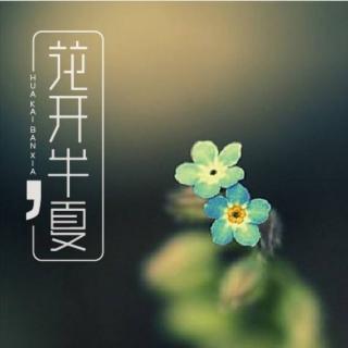 《花开半夏》第十三章