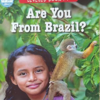 Are you from Brazil？