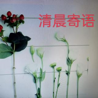 清晨寄语续267